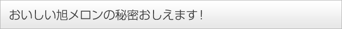 おいしい旭メロンの秘密おしえます！