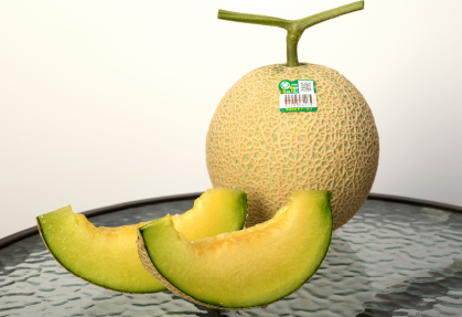 アールスメロン