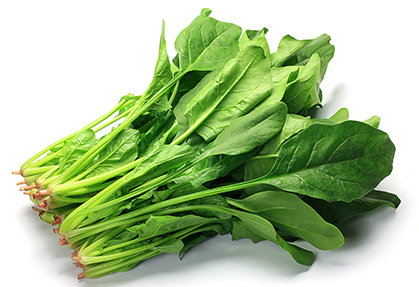 ほうれんそう